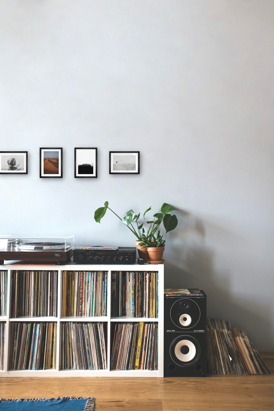 Gallery wall with picture frames in black in sizes 13x18 with prints "Trees and silhouette", "Desert", "Wooden tops and fog" and "Birds over the sea"