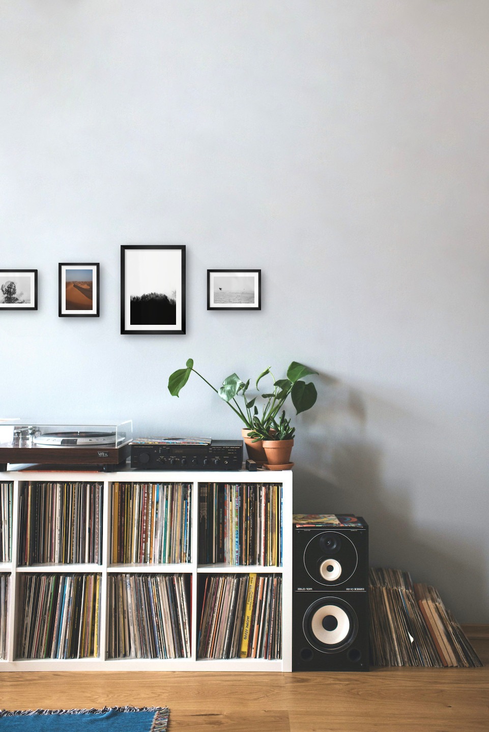 Gallery wall with picture frames in black in sizes 13x18 and 21x30 with prints "Trees and silhouette", "Desert", "Wooden tops and fog" and "Birds over the sea"