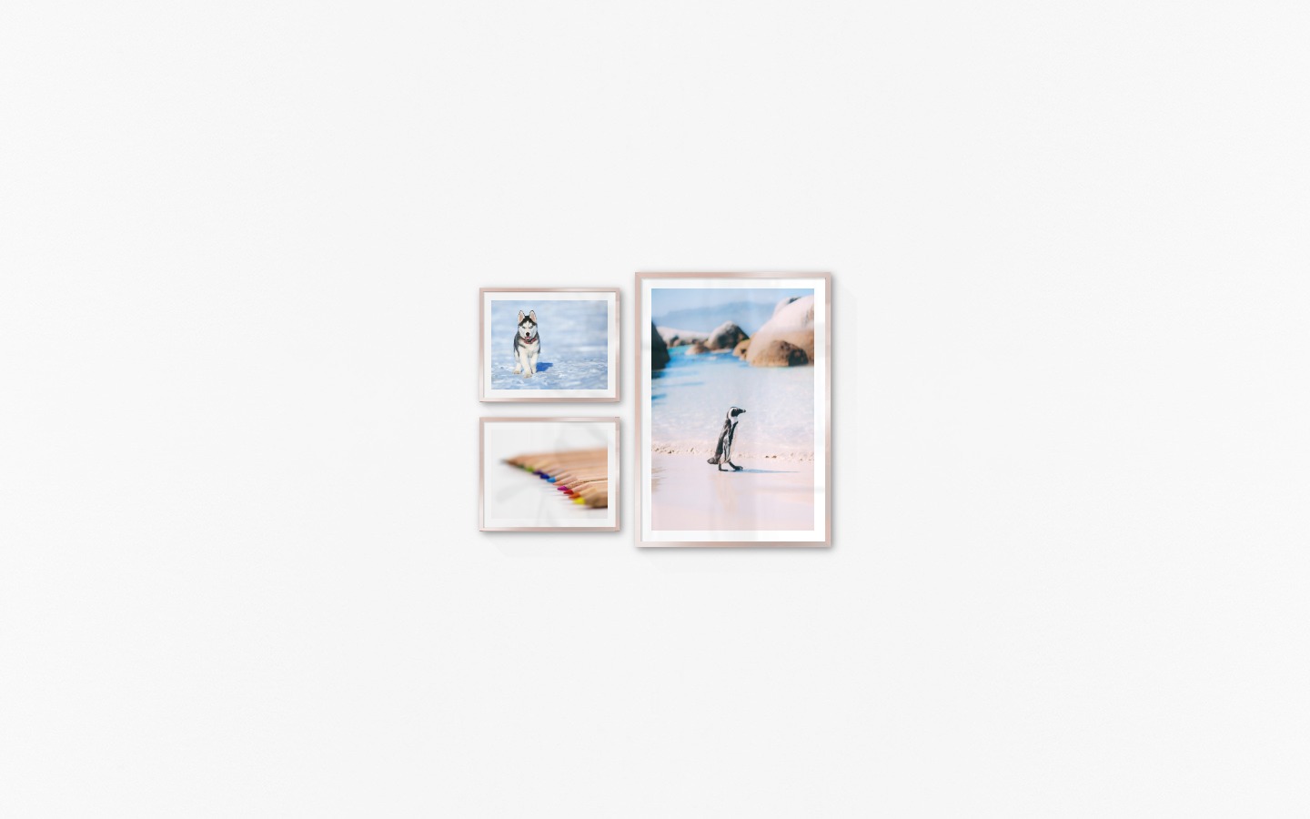 Gallery wall with picture frames in copper in sizes 40x50 and 70x100 with prints "Husky", "Pencils in different colors" and "Penguin on the beach"
