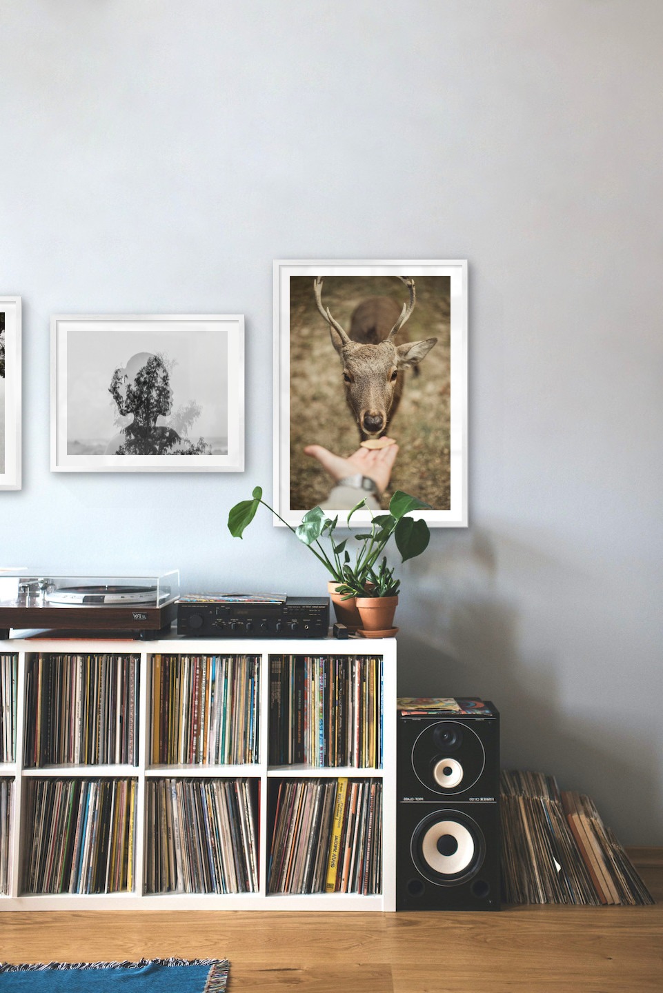 Gallery wall with picture frames in silver in sizes 40x50 and 50x70 with prints "Silhouette and tree", "Trees and silhouette" and "Feed a deer"