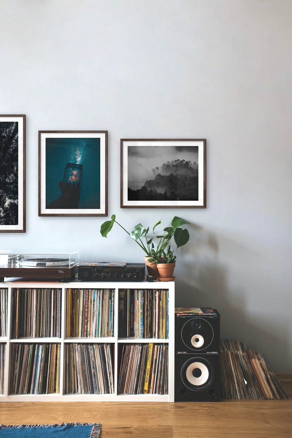 Gallery wall with picture frames in dark wood in sizes 50x70 and 40x50 with prints "Wooden tops and birds", "Jar in front of space" and "Foggy wooden tops"