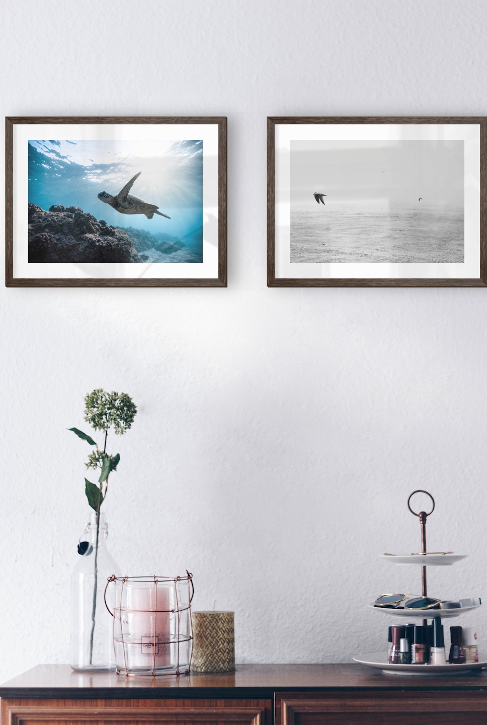 Gallery wall with picture frames in dark wood in sizes 30x40 with prints "Turtle in the water" and "Birds over the sea"