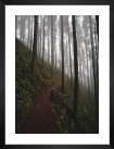 Gallery wall with picture frame in black in size 30x40 with print "Forest road"