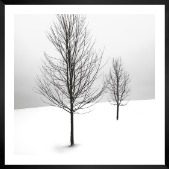 Gallery wall with picture frame in black in size 50x50 with print "Trees in the snow"