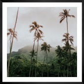 Gallery wall with picture frame in black in size 50x50 with print "Palm trees and mountains"