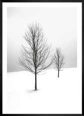 Gallery wall with picture frame in black in size 50x70 with print "Trees in the snow"