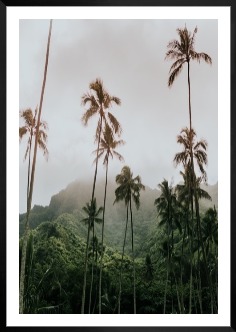 Gallery wall with picture frame in black in size 70x100 with print "Palm trees and mountains"