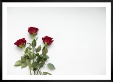 Gallery wall with picture frame in black in size 50x70 with print "Red roses"