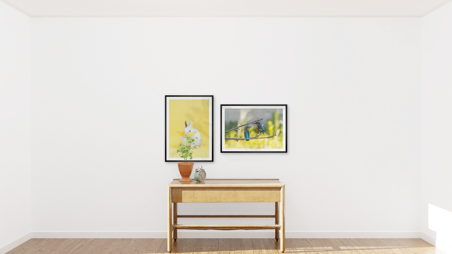 Gallery wall with picture frames in black in sizes 50x70 with prints "Rabbit with glasses" and "Hummingbirds"