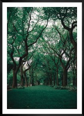 Gallery wall with picture frame in black in size 50x70 with print "Greenery and trees"