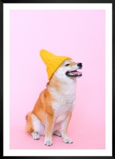 Gallery wall with picture frame in black in size 50x70 with print "Dog with yellow hat"