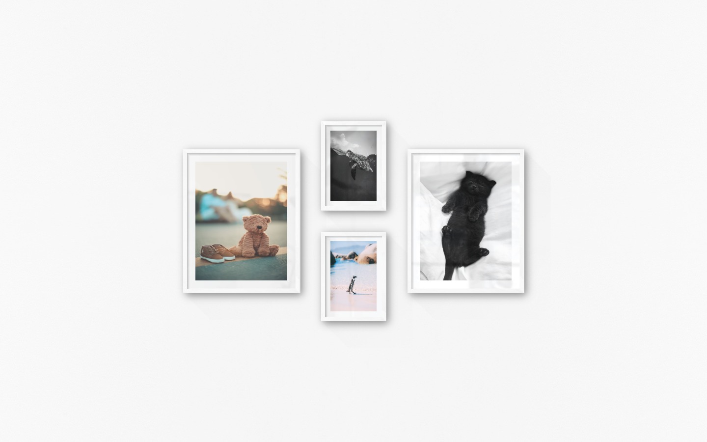 Gallery wall with picture frames in white in sizes 40x50 and 21x30 with prints "Teddy bear on the street", "Penguin on the beach", "Turtle" and "Cat in bed"