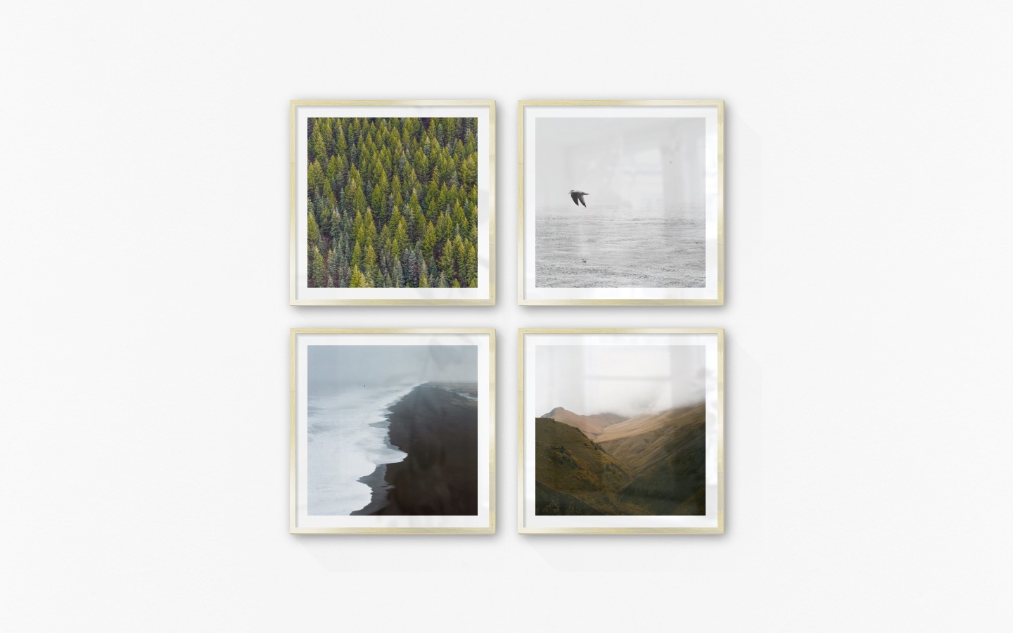 Gallery wall with picture frames in gold in sizes 50x50 with prints "Trees from above", "Birds over the sea", "Black beach" and "Foggy valley"