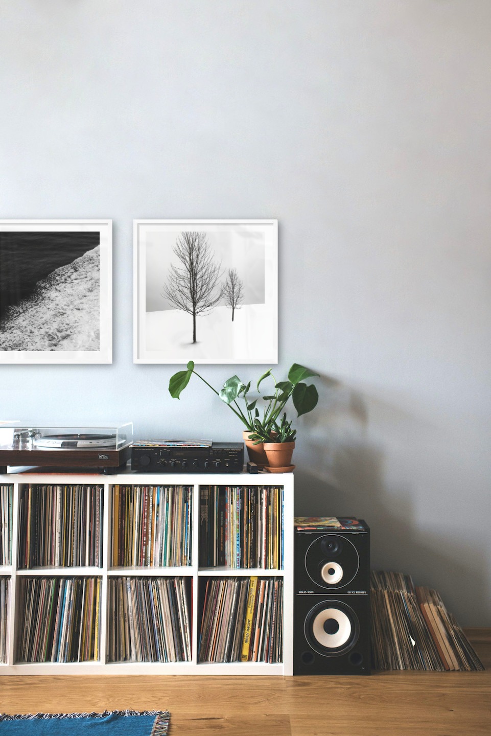 Gallery wall with picture frames in white in sizes 50x50 with prints "Swell from waves" and "Trees in the snow"