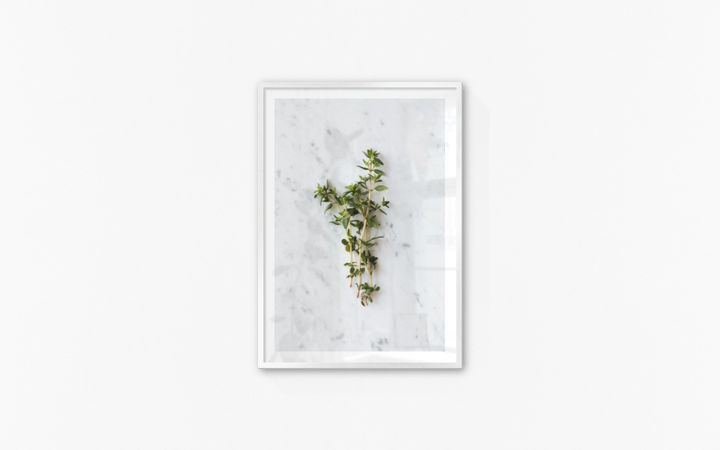 Gallery wall with picture frame in silver in size 70x100 with print "Herbs"