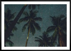 Gallery wall with picture frame in black in size 50x70 with print "Palm trees and night sky"